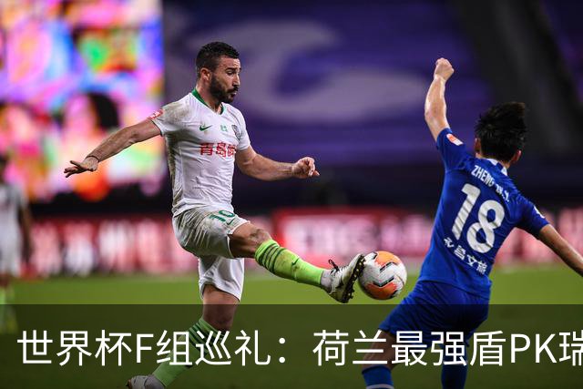 世界杯F组巡礼：荷兰最强盾PK瑞典犀利刀 日本短板明显